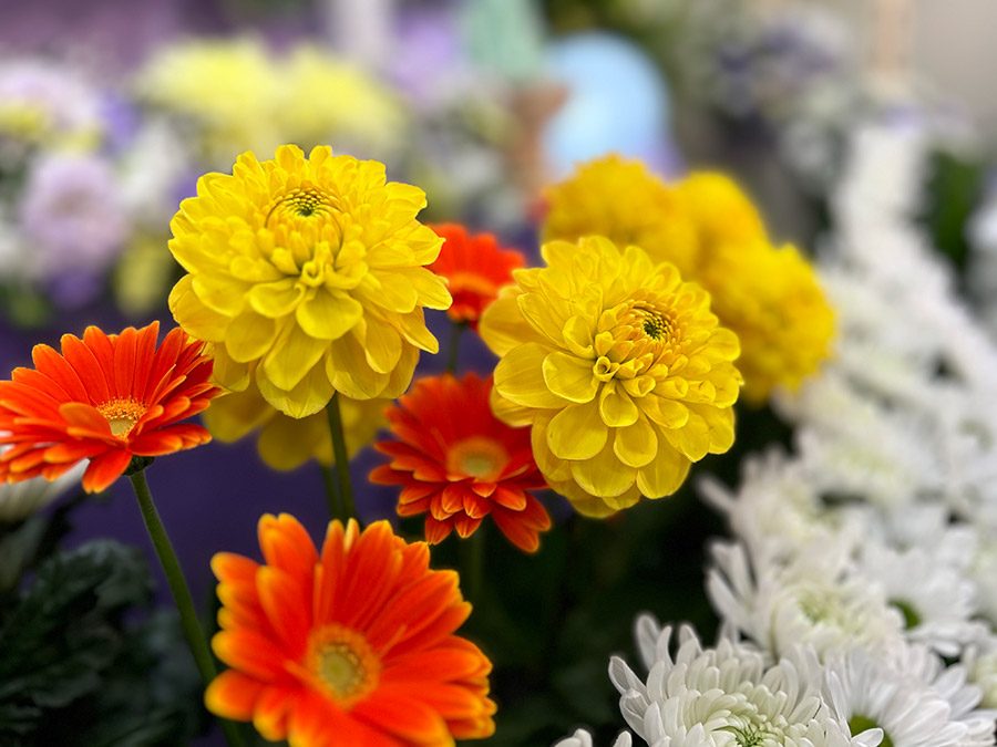 花の祭壇1