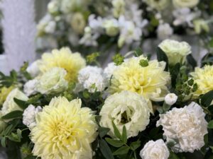 黄色と深い緑色で癒される